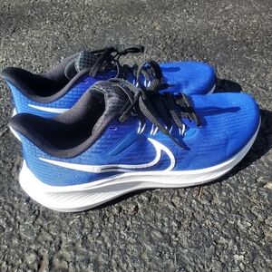 New Nike Pegasus
